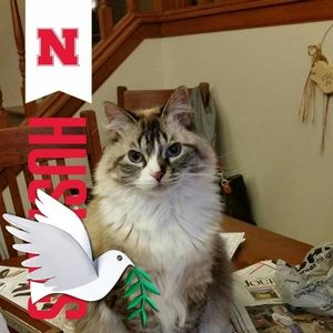 Meet your Posher, Melinda